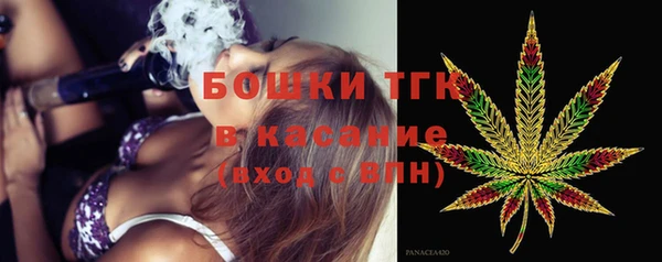стаф Новодвинск