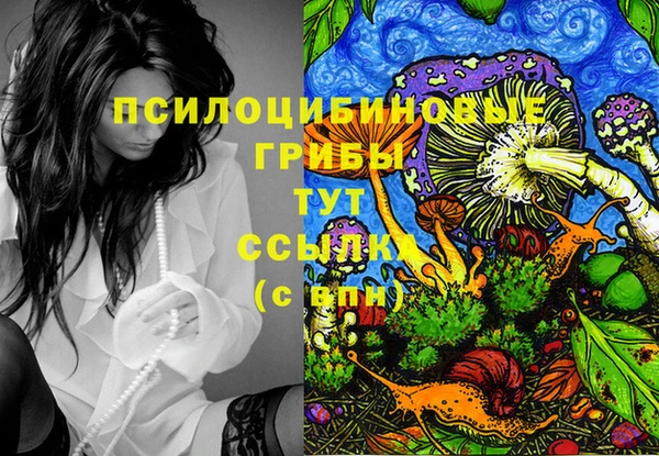 стаф Новодвинск