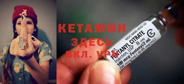 стаф Новодвинск