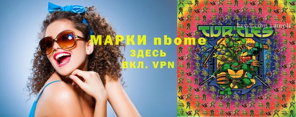 стаф Новодвинск