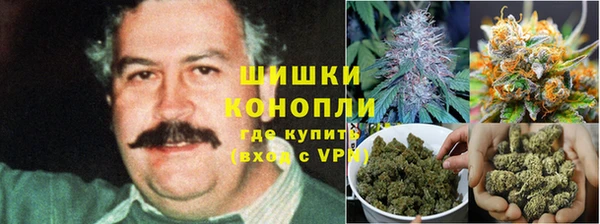 MDMA Новозыбков