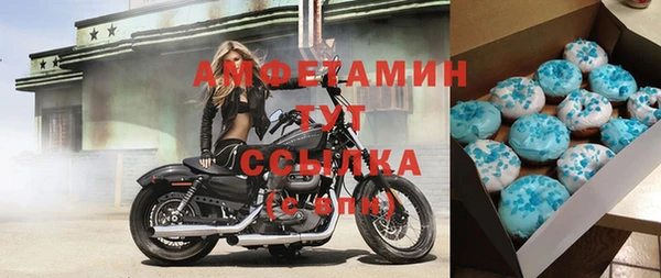 стаф Новодвинск
