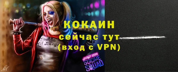 стаф Новодвинск