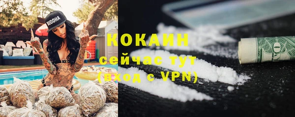 стаф Новодвинск