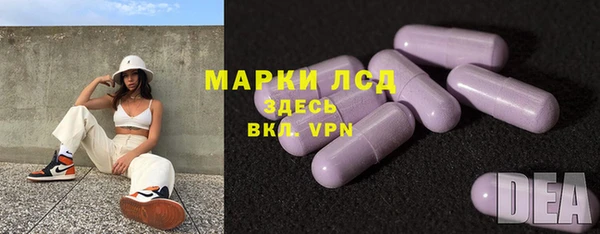 стаф Новодвинск